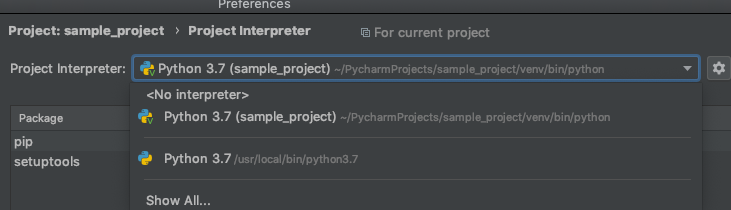 PyCharm Global