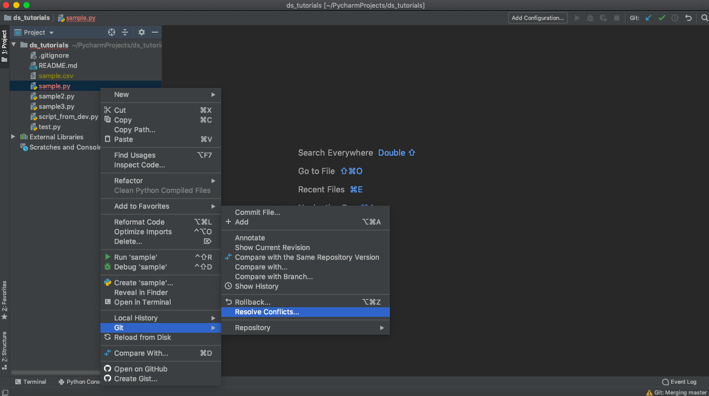 PyCharm Resolve